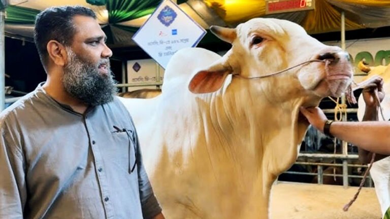 মামলা হচ্ছে সাদিক অ্যাগ্রোর মালিকসহ ৭ জনের বিরুদ্ধে