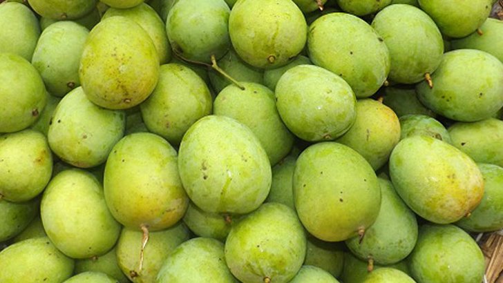 জার্মানিতে রপ্তানি হলো রংপুরের হাঁড়িভাঙা আম