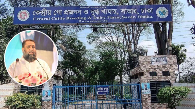 সাভার কেন্দ্রীয় গো প্রজনন ও দুগ্ধ খামারে দুদকের অভিযান